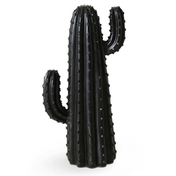 kaktus-dekoracyjny-wzor-1